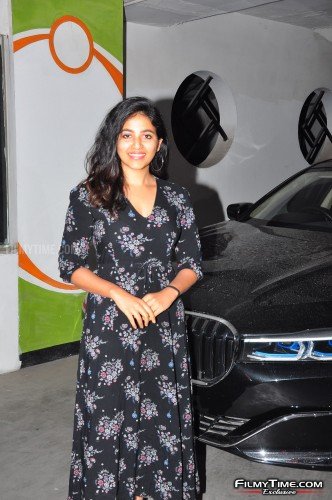 anajli-amb-vakeel-saab-2