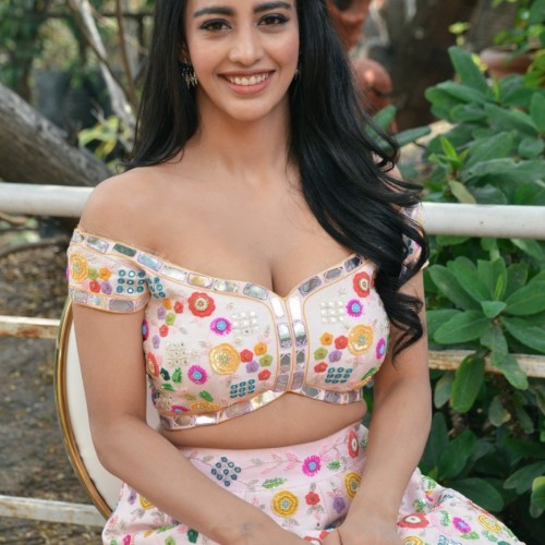 Daksha-Nagarkar-photos-bangarraju-promotionsDaksha-Nagarkar-photos-bangarraju-promotions-15