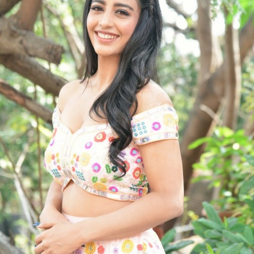 Daksha-Nagarkar-photos-bangarraju-promotionsDaksha-Nagarkar-photos-bangarraju-promotions-29