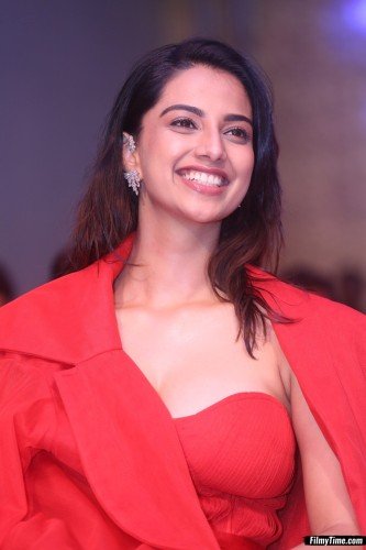 Meenakshi-Choudary-SIIMA-15