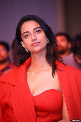 Meenakshi-Choudary-SIIMA-17