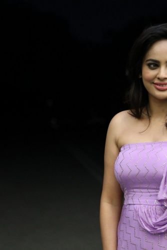 Nanditha-Swetha-Akshara-prerelease-32