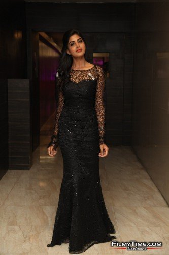 Navami-Gayak-Photos-Naandhi-prerelease-37