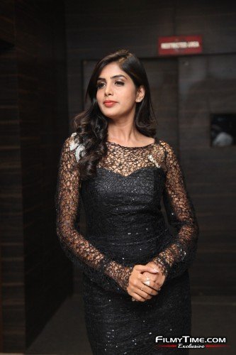 Navami-Gayak-Photos-Naandhi-prerelease-9