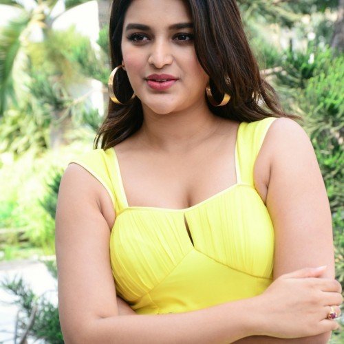 Niddhi-Agerwal-hero-promotions-49