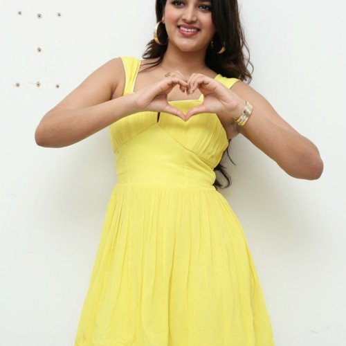 Niddhi-Agerwal-hero-promotions-66