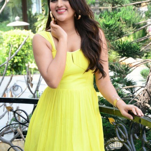 Niddhi-Agerwal-hero-promotions-68