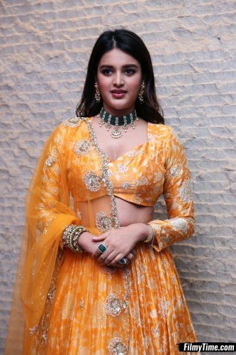 Niddhi-Agerwal-hero-prerelease-1