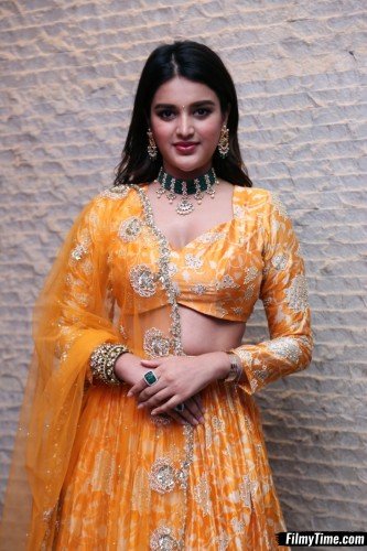 Niddhi-Agerwal-hero-prerelease-10