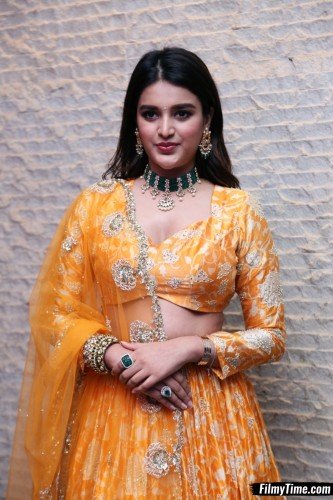 Niddhi-Agerwal-hero-prerelease-12