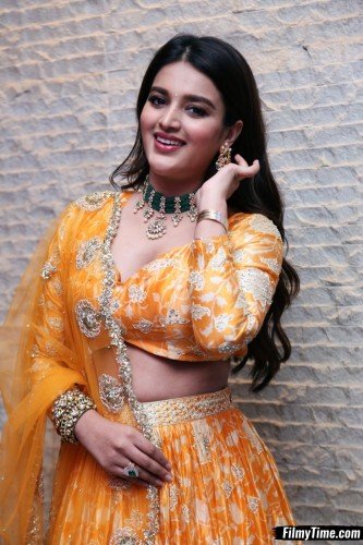 Niddhi-Agerwal-hero-prerelease-13