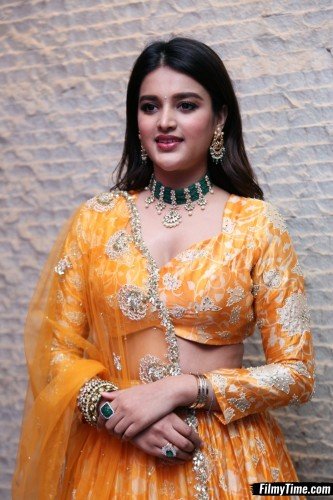 Niddhi-Agerwal-hero-prerelease-16