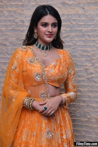 Niddhi-Agerwal-hero-prerelease-17