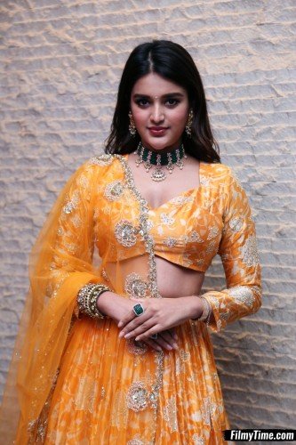 Niddhi-Agerwal-hero-prerelease-2