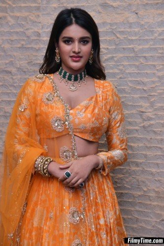 Niddhi-Agerwal-hero-prerelease-20