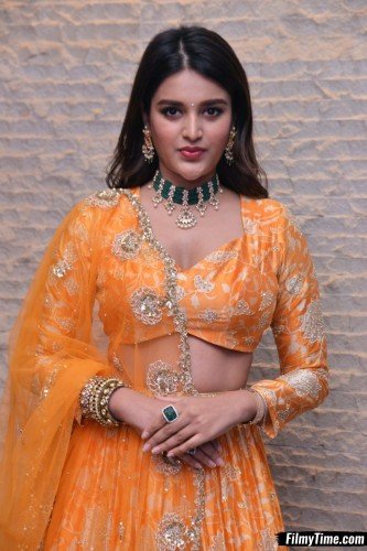 Niddhi-Agerwal-hero-prerelease-21