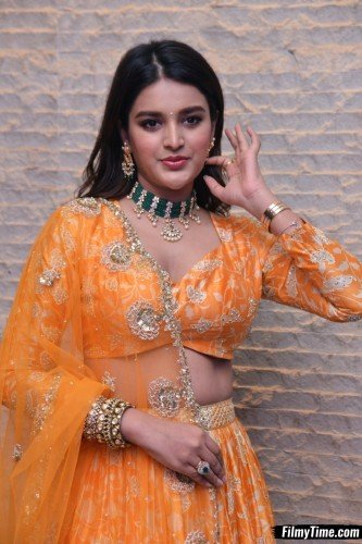 Niddhi-Agerwal-hero-prerelease-24