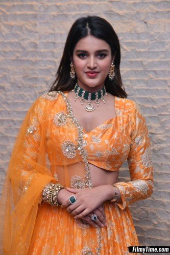 Niddhi-Agerwal-hero-prerelease-27