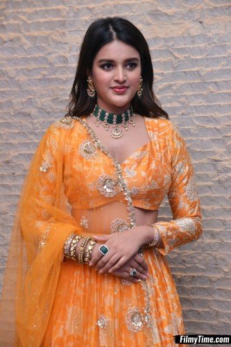 Niddhi-Agerwal-hero-prerelease-29