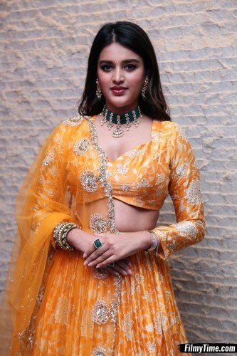 Niddhi-Agerwal-hero-prerelease-3