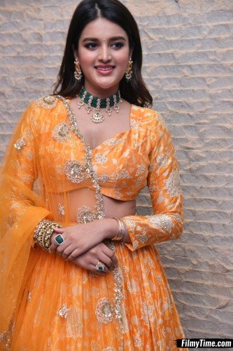 Niddhi-Agerwal-hero-prerelease-31