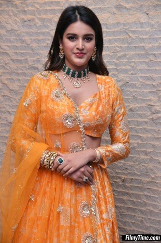 Niddhi-Agerwal-hero-prerelease-32