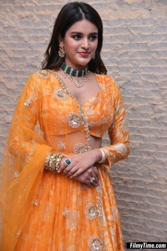 Niddhi-Agerwal-hero-prerelease-33