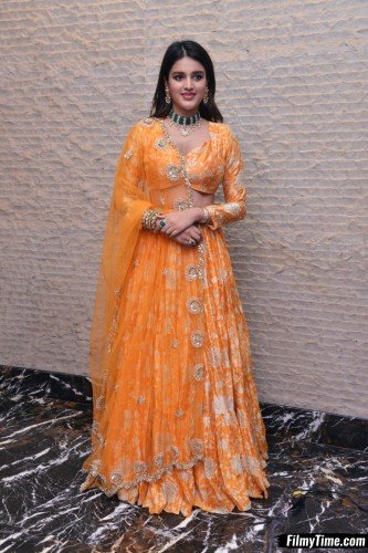 Niddhi-Agerwal-hero-prerelease-34