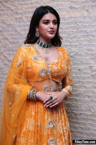 Niddhi-Agerwal-hero-prerelease-5