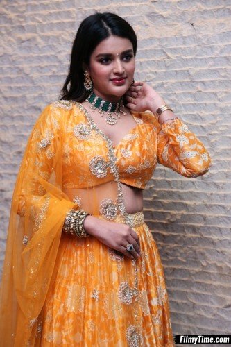 Niddhi-Agerwal-hero-prerelease-6