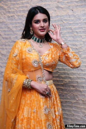 Niddhi-Agerwal-hero-prerelease-7