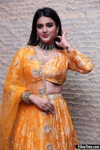 Niddhi-Agerwal-hero-prerelease-8