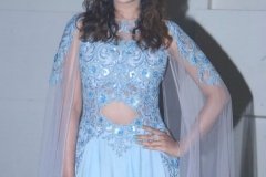 payal-disco-prerelease1