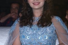 payal-disco-prerelease12