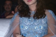 payal-disco-prerelease16