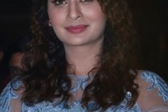 payal-disco-prerelease20