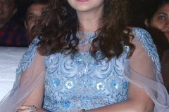 payal-disco-prerelease26