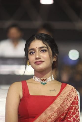 Priya-Prakash-Varrier-at-Check-Pre-Release-15_wm
