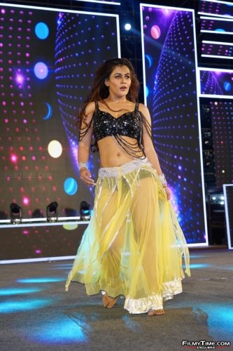 Pushpa-prerelease-1-25