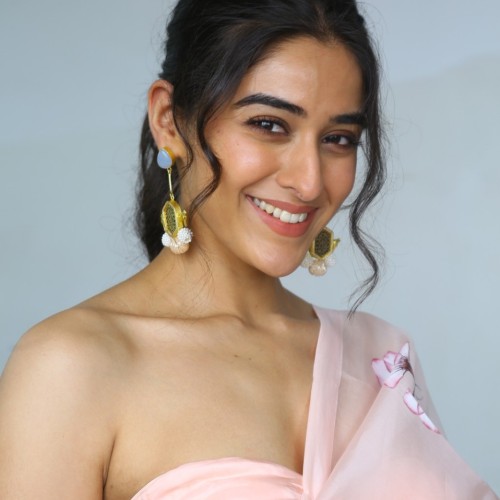 Sakshi-Vaidya-pics-13