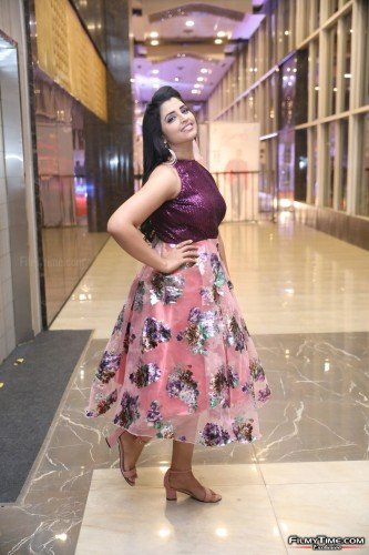 Syamala-Roberrt-Pre-Release-Photos-9